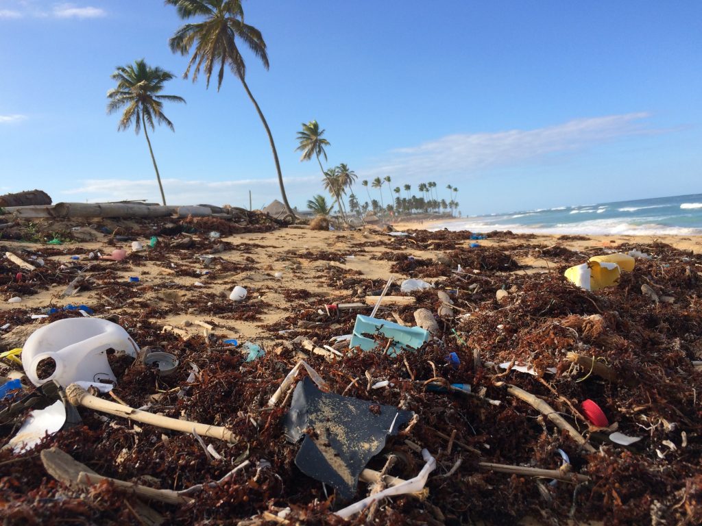 Plastic Waste on a Beach